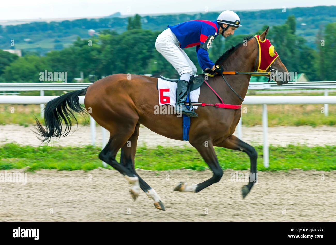 Horse race for the prize Shamborant in Pyatigorsk,Northern Caucasus Stock Photo