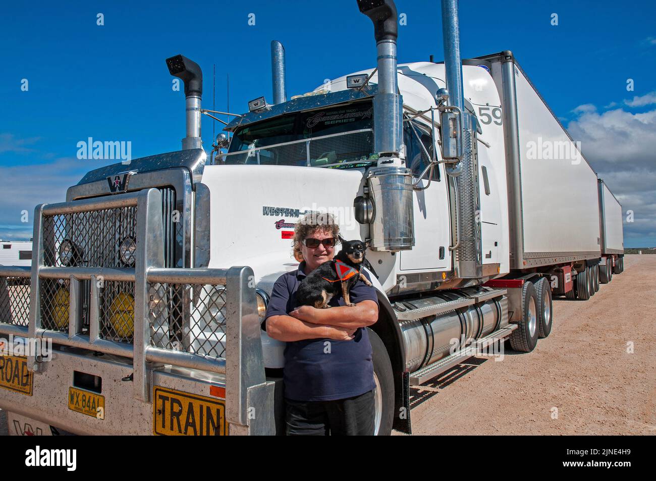 Fay Frances-Lewis, woman truck driver on the road with the B-Double she drives freighting 75 tonnes of ripe tomatoes the 2695 km between Perth and Adelaide twice a week.Covering over 10,000 kms per week, she is accompanied by her husband as offsider and her pet dog. Stock Photo