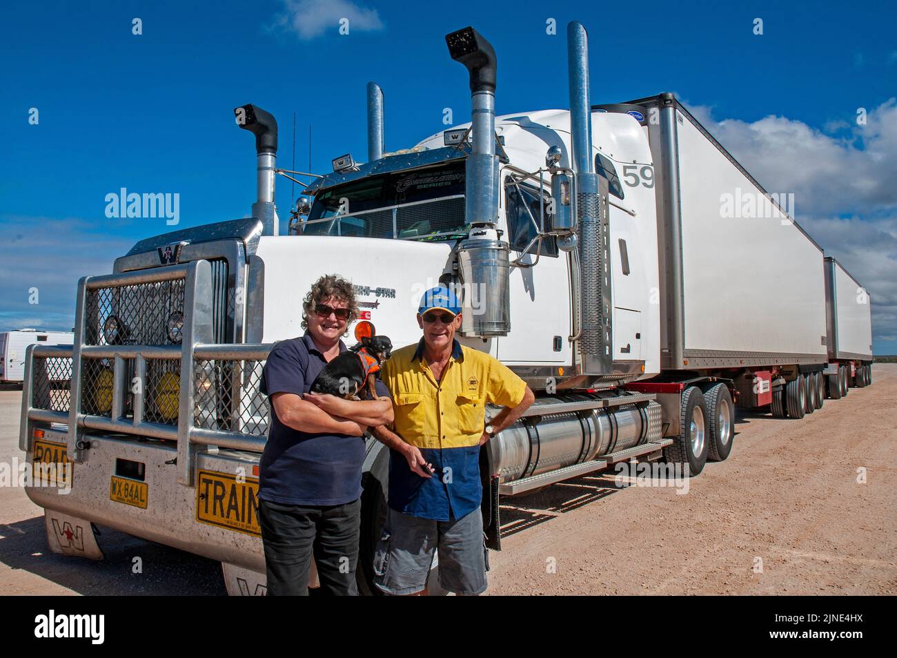 Fay Frances-Lewis, woman truck driver on the road with the B-Double she drives freighting 75 tonnes of ripe tomatoes the 2695 km between Perth and Adelaide twice a week.Covering over 10,000 kms per week, she is accompanied by her husband as offsider and her pet dog. Stock Photo