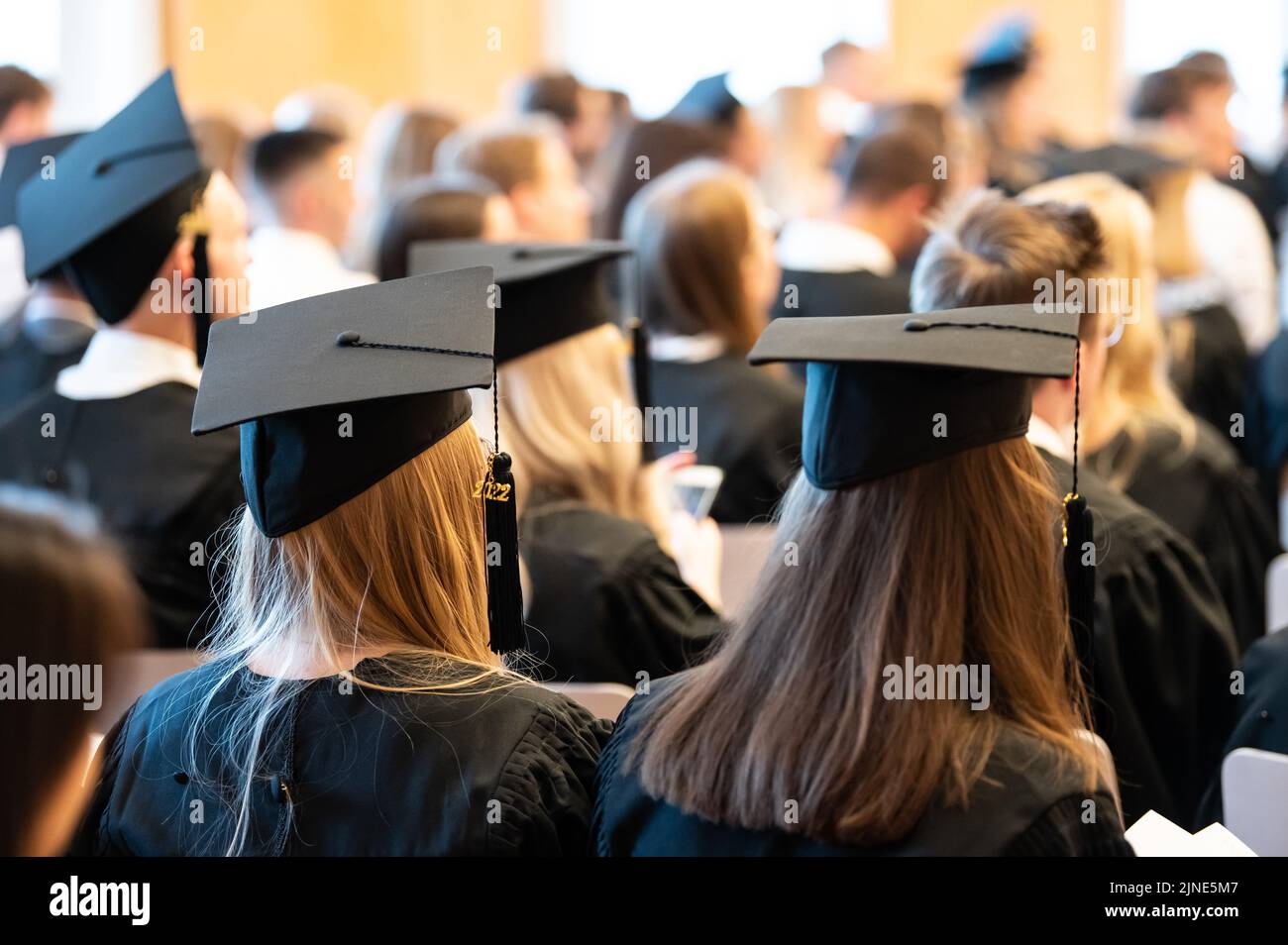 phd graduation hat germany