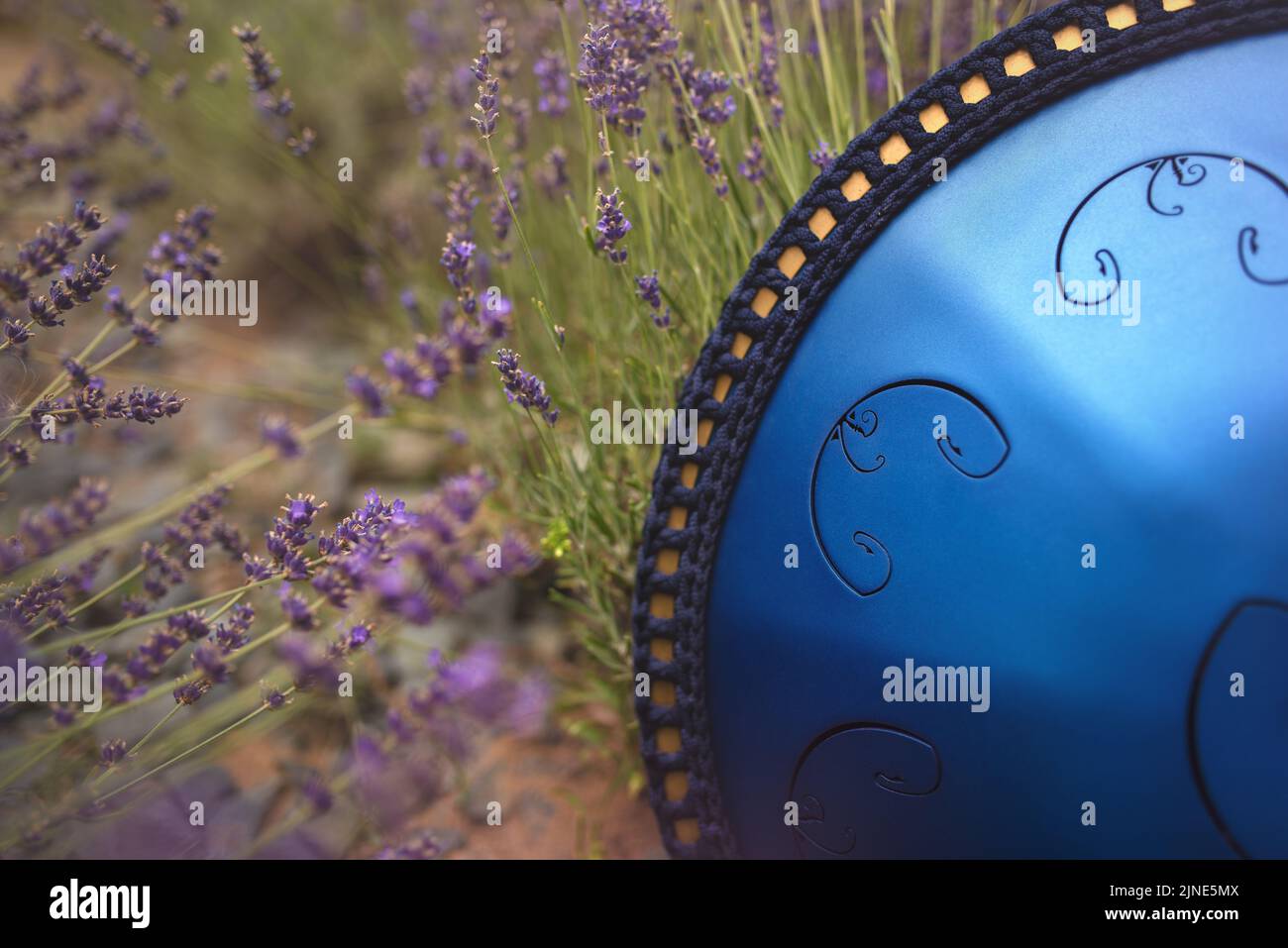 A closeup view a tongue drum musical instrument metal drum with