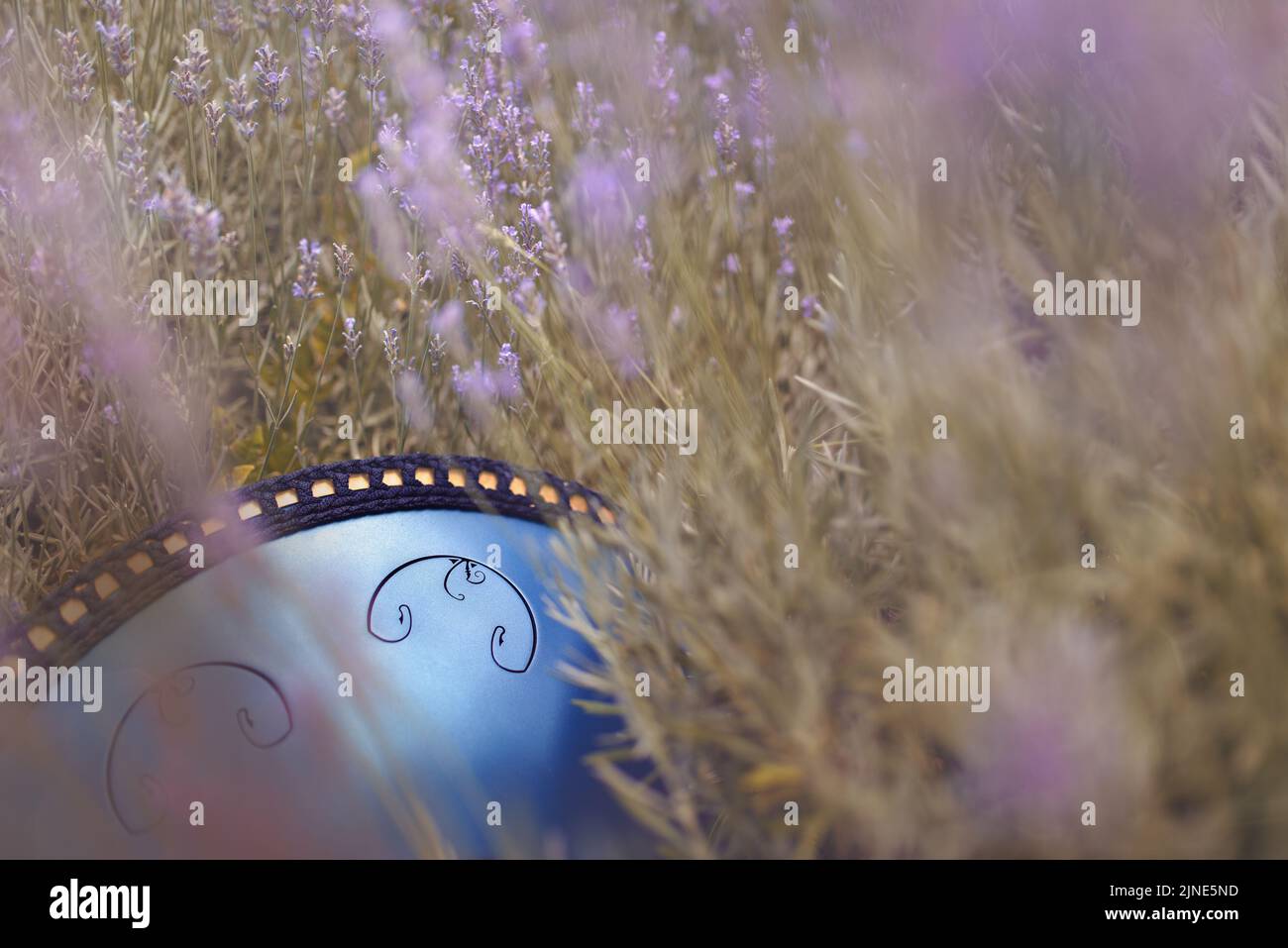 A close-up view of a tongue drum surrounded by lavender. It is a musical instrument similar to a handpan, hang or pantam. Stock Photo