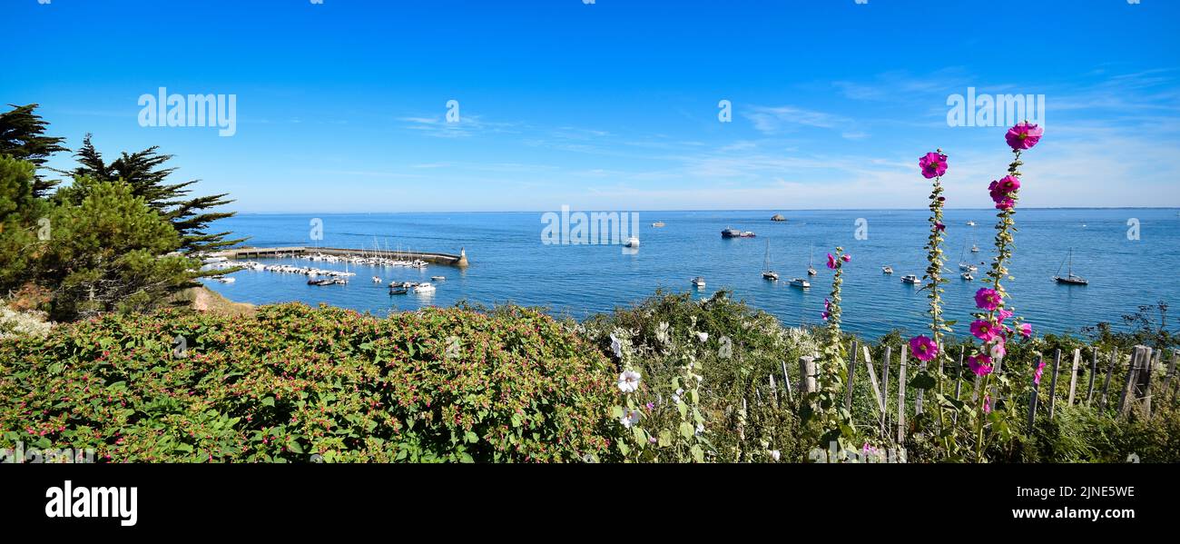 Île d'Houat (Bretagne, golfe du Morbilhan. Ouest France) Stock Photo