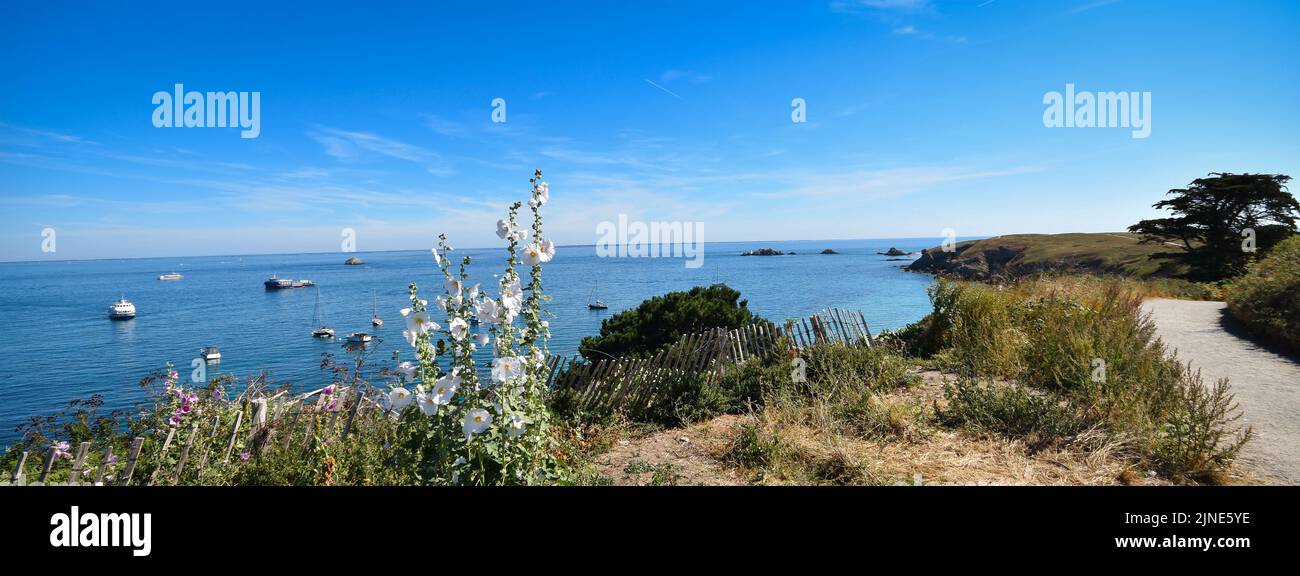 Île d'Houat (France) (Bretagne, golfe du Morbilhan. Ouest France) Stock Photo