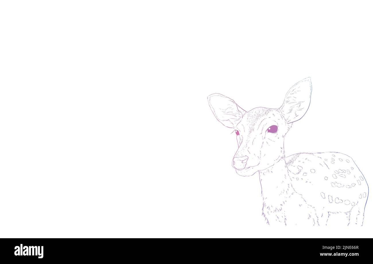 Realistic animal illustration, rainbow-colored deer seen from the front Stock Vector