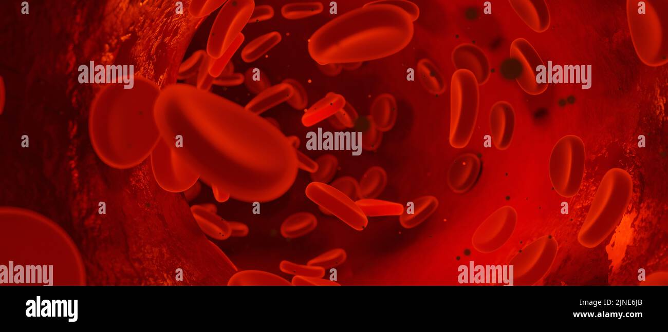 3D rendering illustration some red blood cells in a blood vessel Stock ...