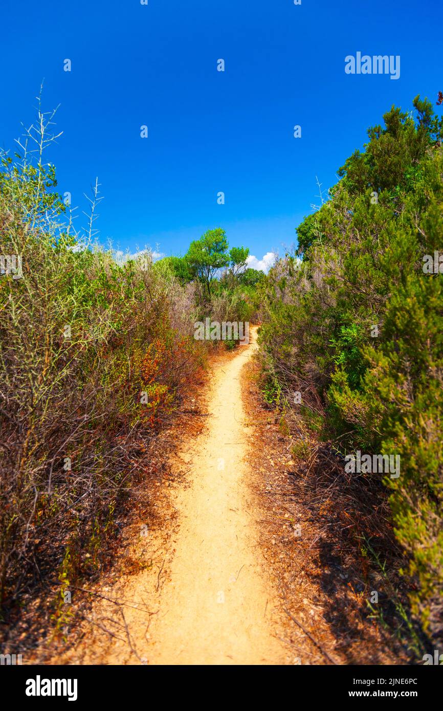 South Corsica, vertical summer landscape with a trail perspective. Cupabia beach Stock Photo