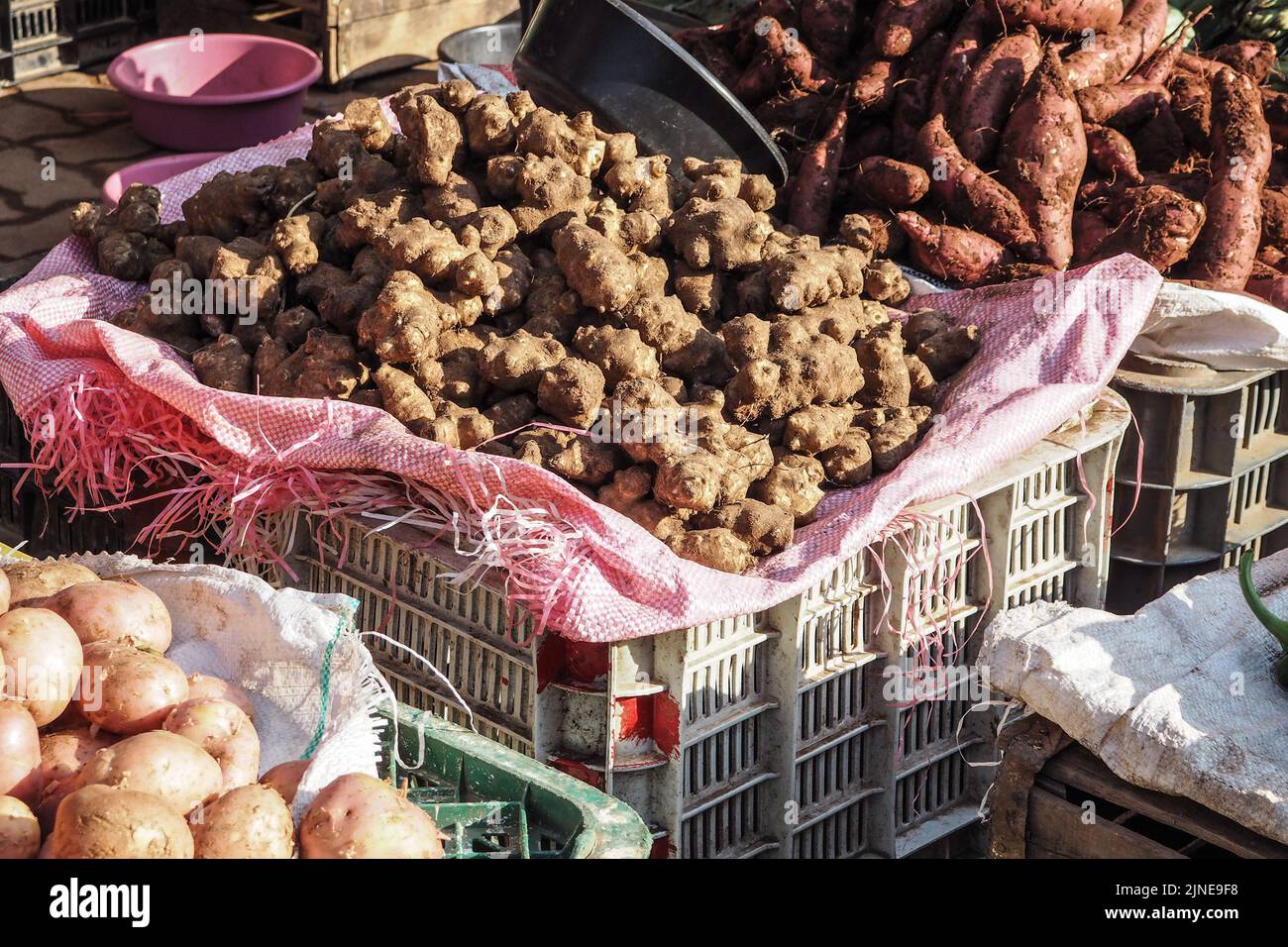 Dry ginger roots in plastic crate displayed on street market in Morocco Stock Photo
