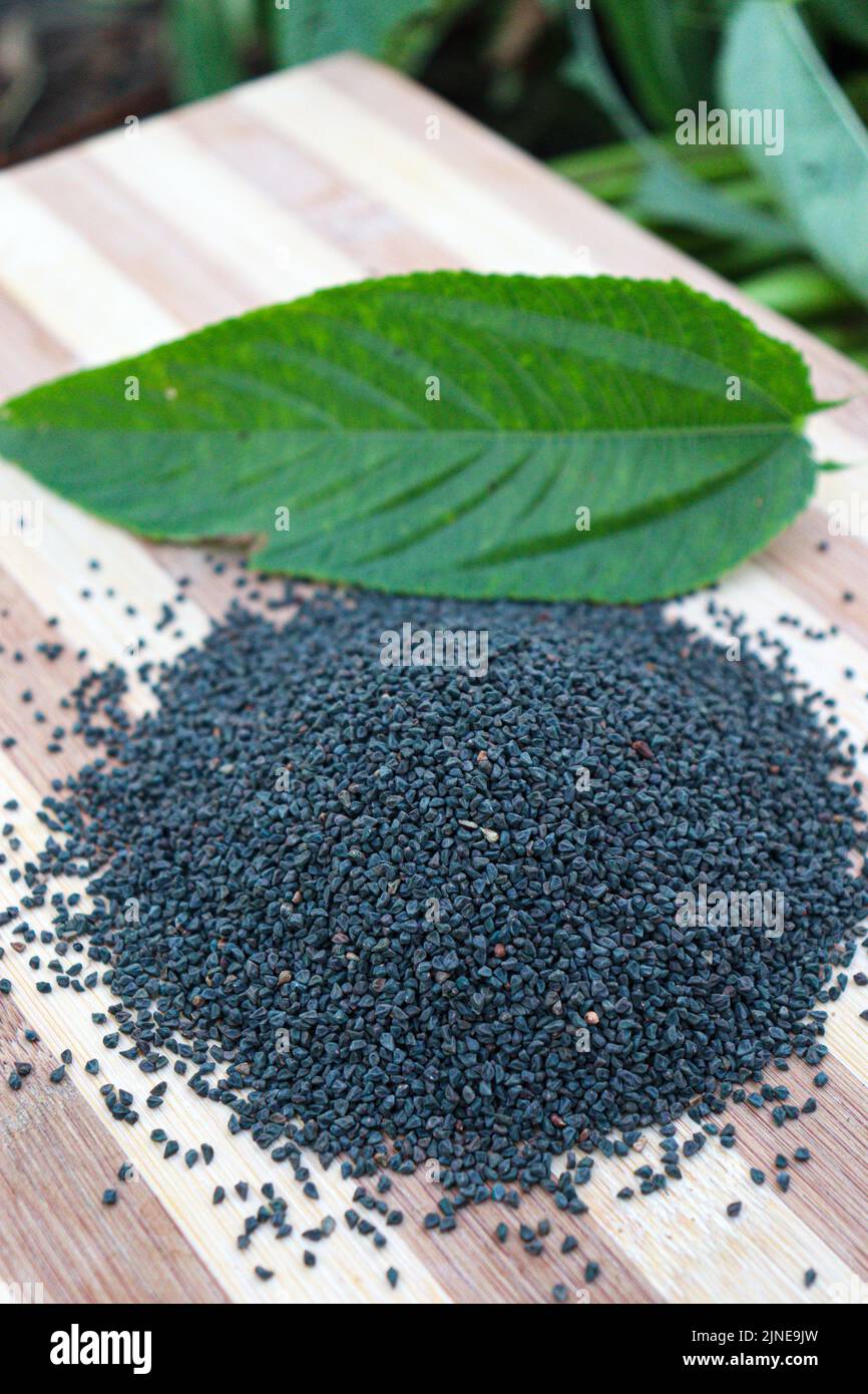 Jute leaf hires stock photography and images Alamy