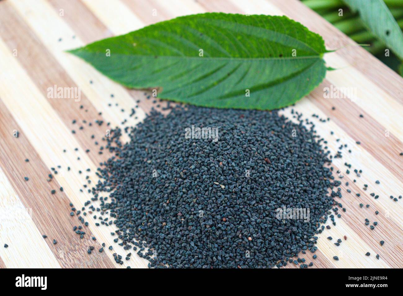 Jute seed hires stock photography and images Alamy