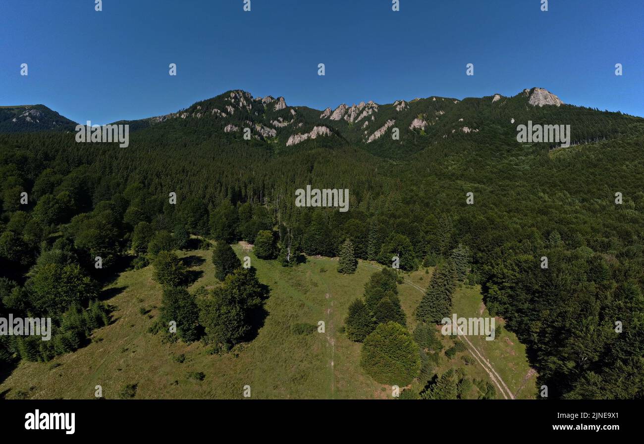 An aerial view of mountains covered with green forests on a sunny day ...