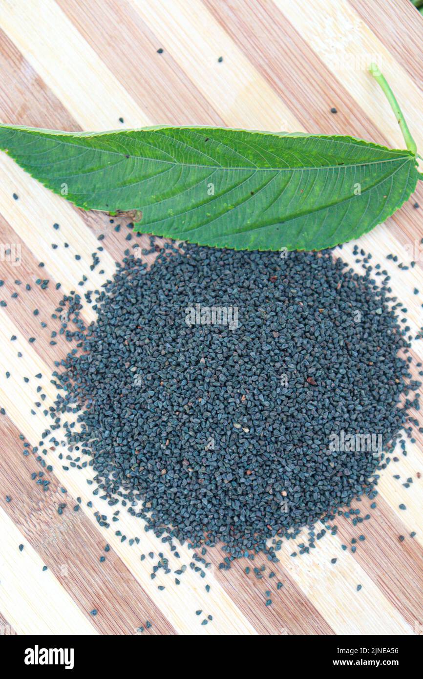 jute seed stock with leaf on shop for sell Stock Photo Alamy