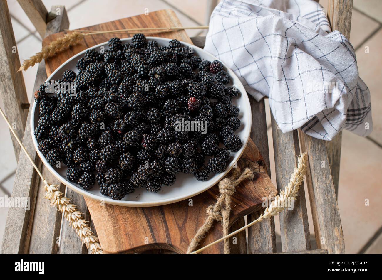 Fresh blackberries on a plate Stock Photo