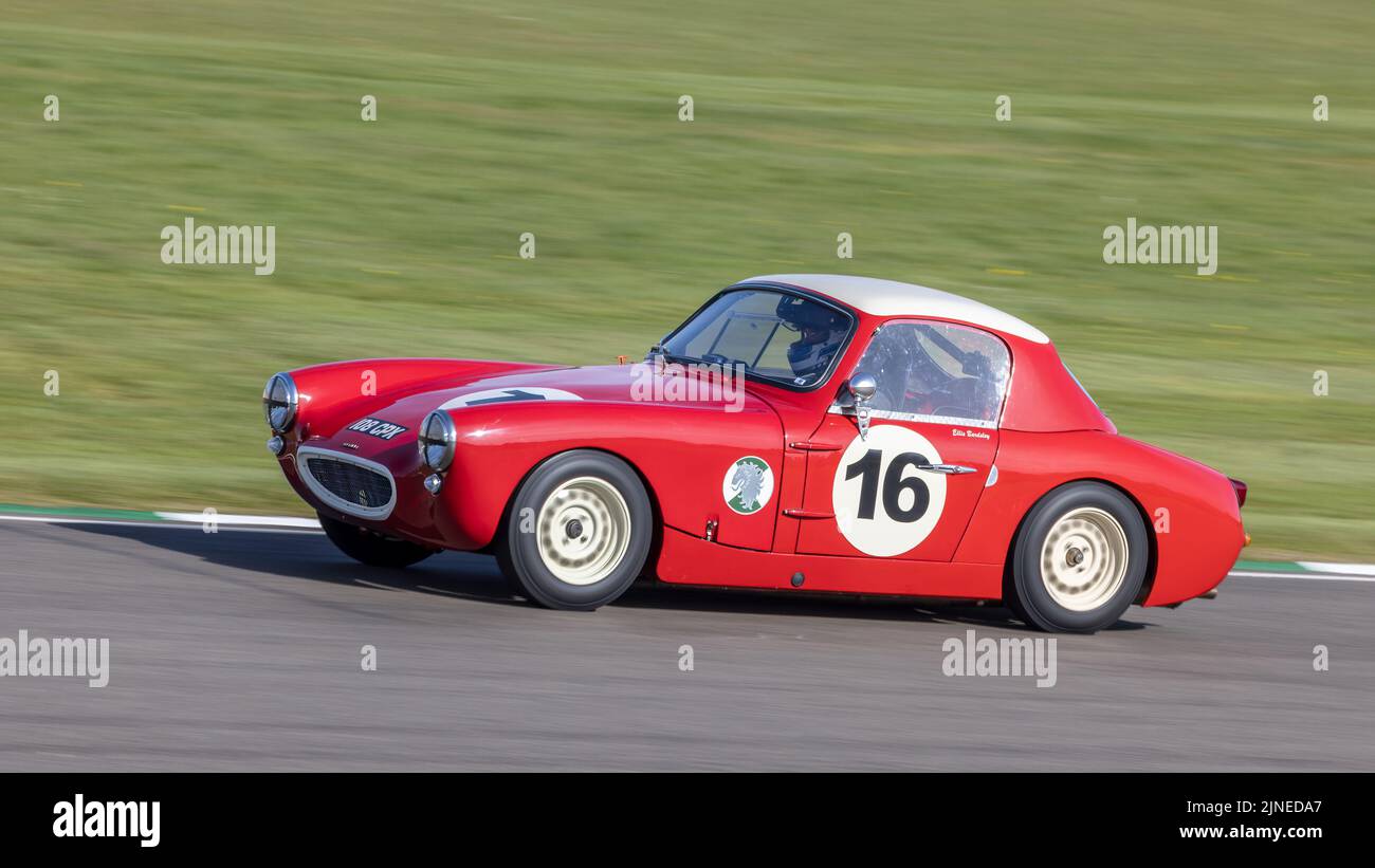 1961 Austin Healey Sebring Sprite with driver Ellis Bardsley during the Weslake Cup race at the Goodwood 79MM, Sussex, UK. Stock Photo