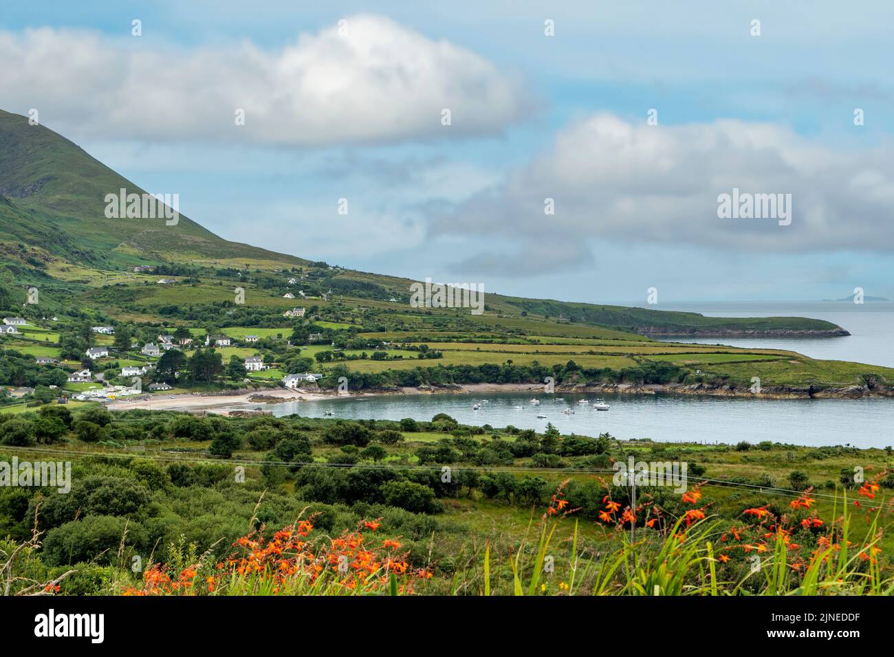 Kells Bay and Beach, Ring of Kerry, Co. Kerry, Ireland Stock Photo - Alamy