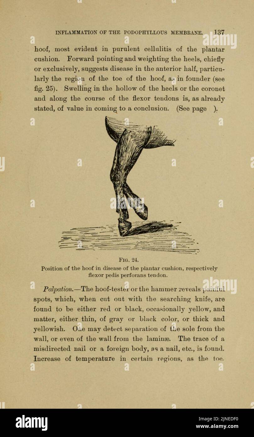 Page137