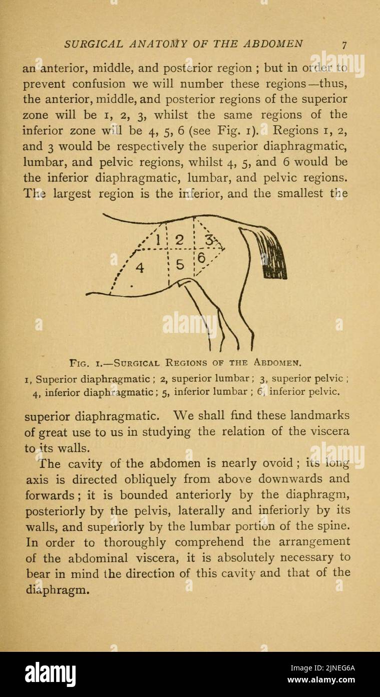 Colucs The common colics of the horse (Page 7 Stock Photo - Alamy