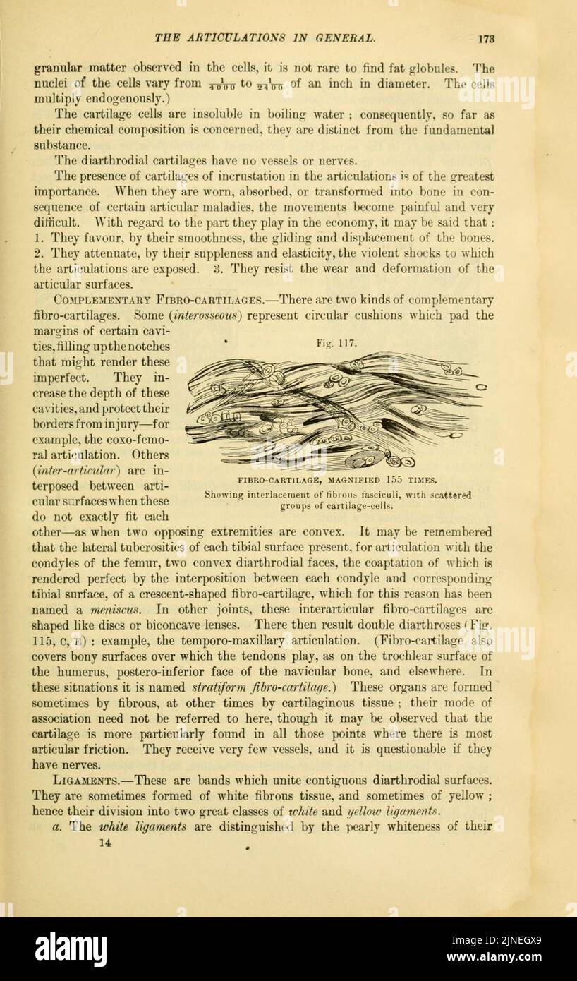 DEFINE COMPARATIVE ANATOMY visual data 4