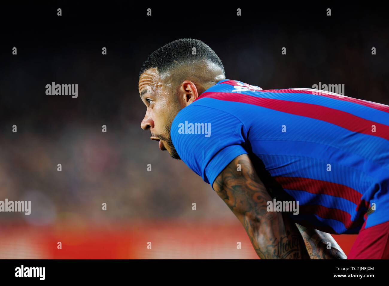 BARCELONA - MAY 1: Depay in action during the La Liga match between FC Barcelona and RCD Mallorca at the Camp Nou Stadium on May 1, 2022 in Barcelona, Stock Photo