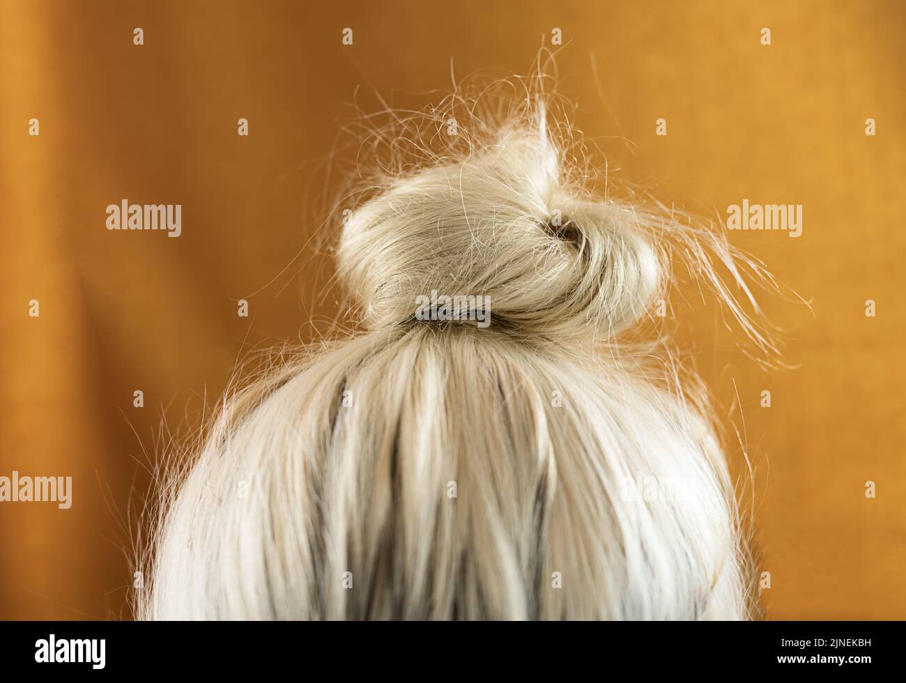 Close up of blonde hair that is put up in a casual messy hair bun and hairstyle. Stock Photo