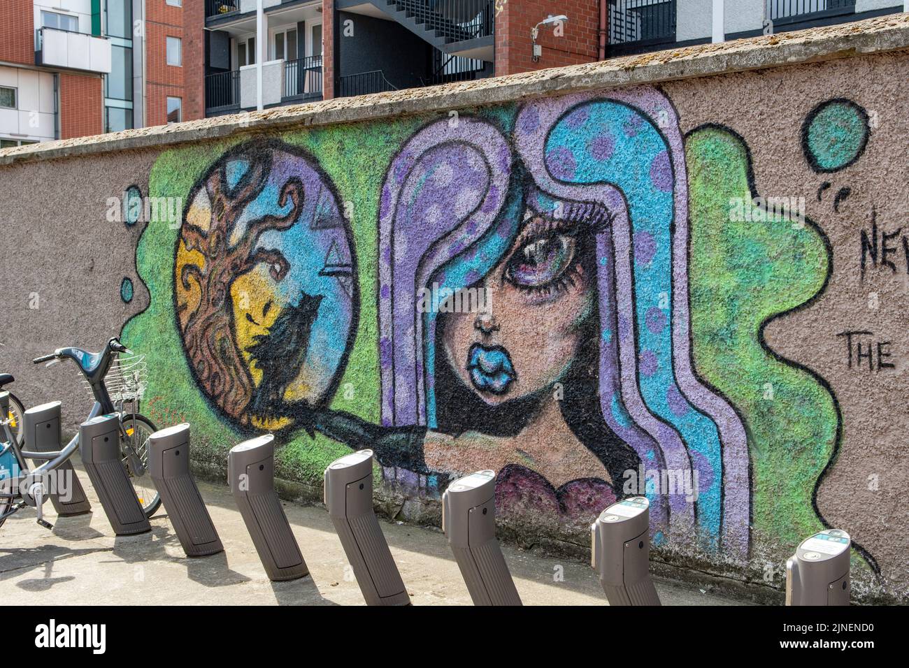 Street Art, Dublin, Ireland Stock Photo Alamy
