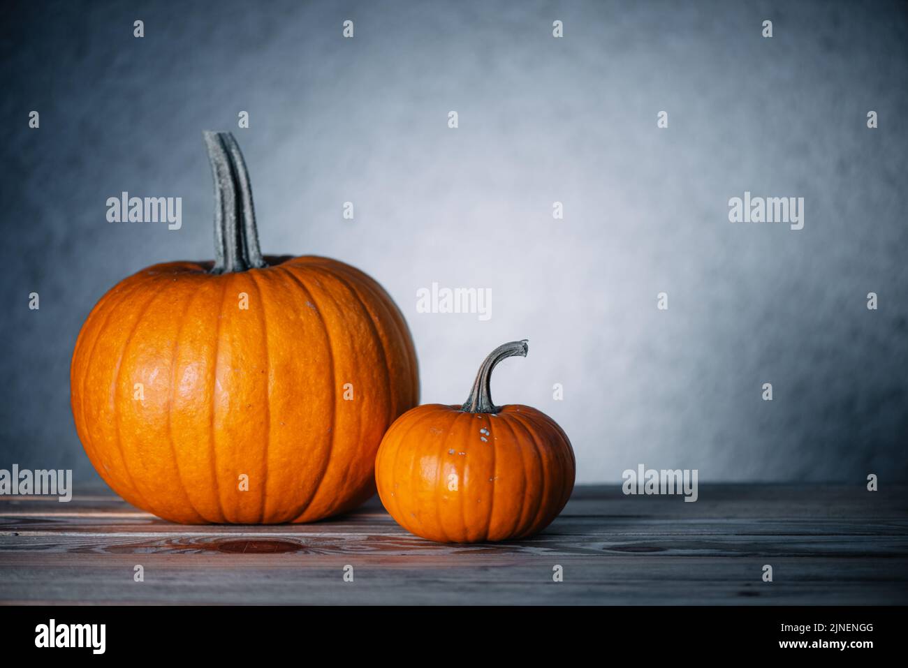Two pumpkins on wooden table. Halloween and thanksgiving holiday and autumn harvest background Stock Photo
