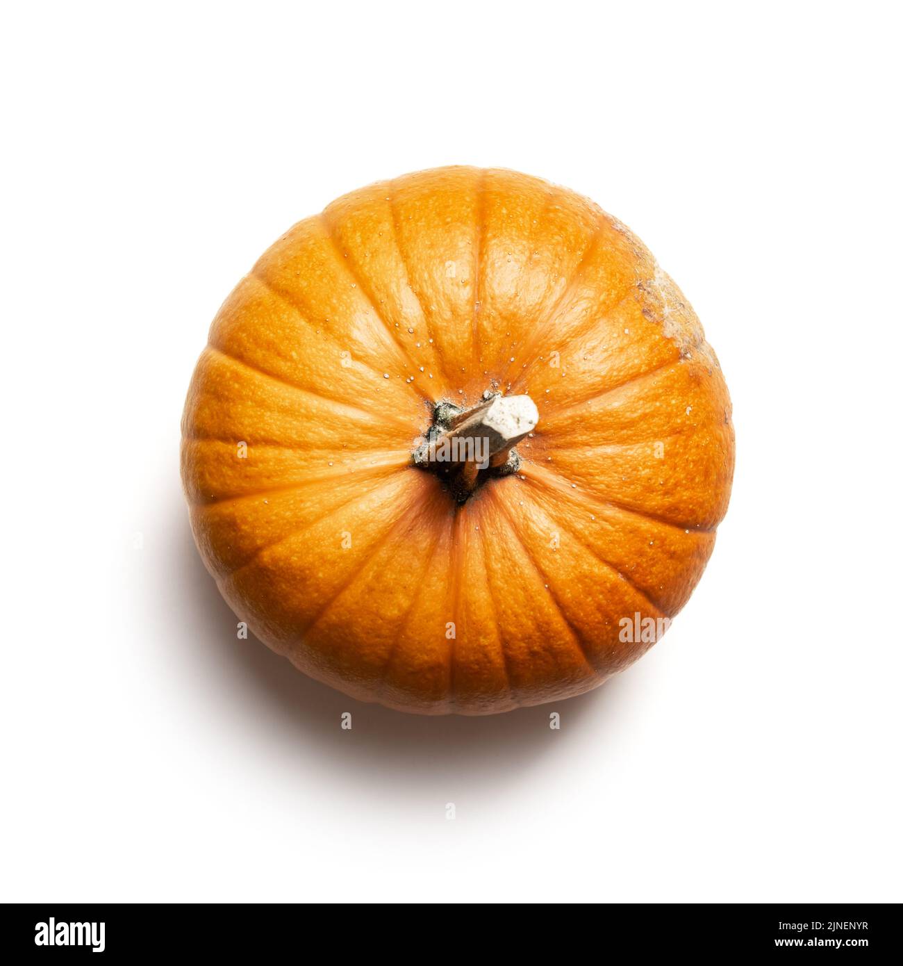 Orange pumpkin isolated on white background. Food photography. Halloween concept. Top view. Part of set different kinds of pumpkins. Stock Photo