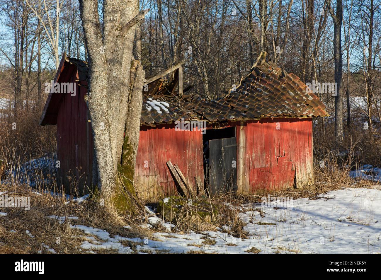 Collapsing roof on an old barn Stock Photo - Alamy