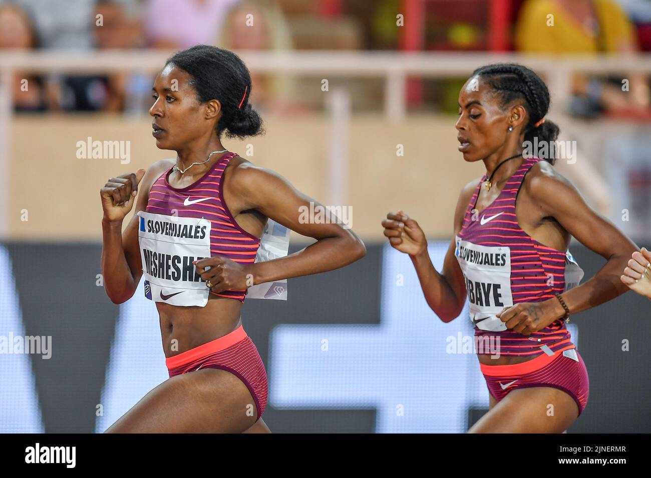 Hirut MESHESHA(ETH), and Axumawit EMBAYE (ETH) 1500M WOMEN, during the Herculis 2022  during  Diamond League - Meeting Herculis, Athletics Internationals in Montecarlo, Principality of Monaco, August 10 2022 Stock Photo