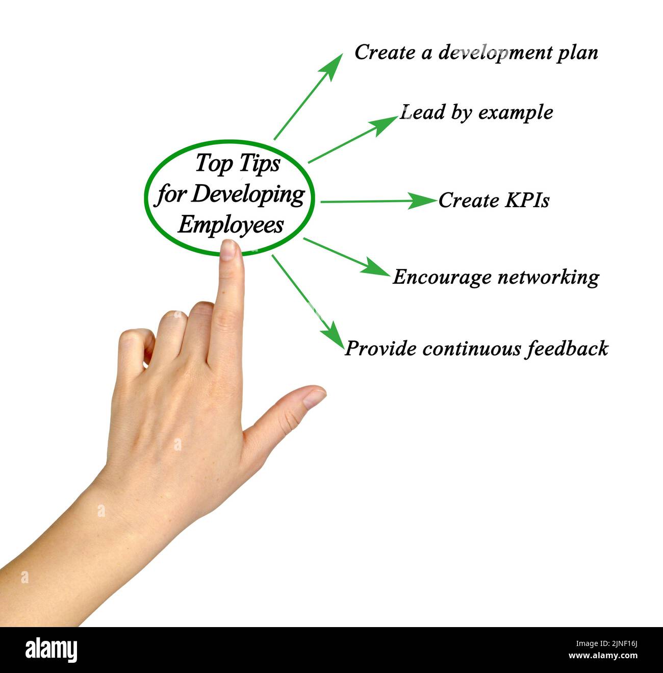 Top Tips for Developing Employees Stock Photo Alamy