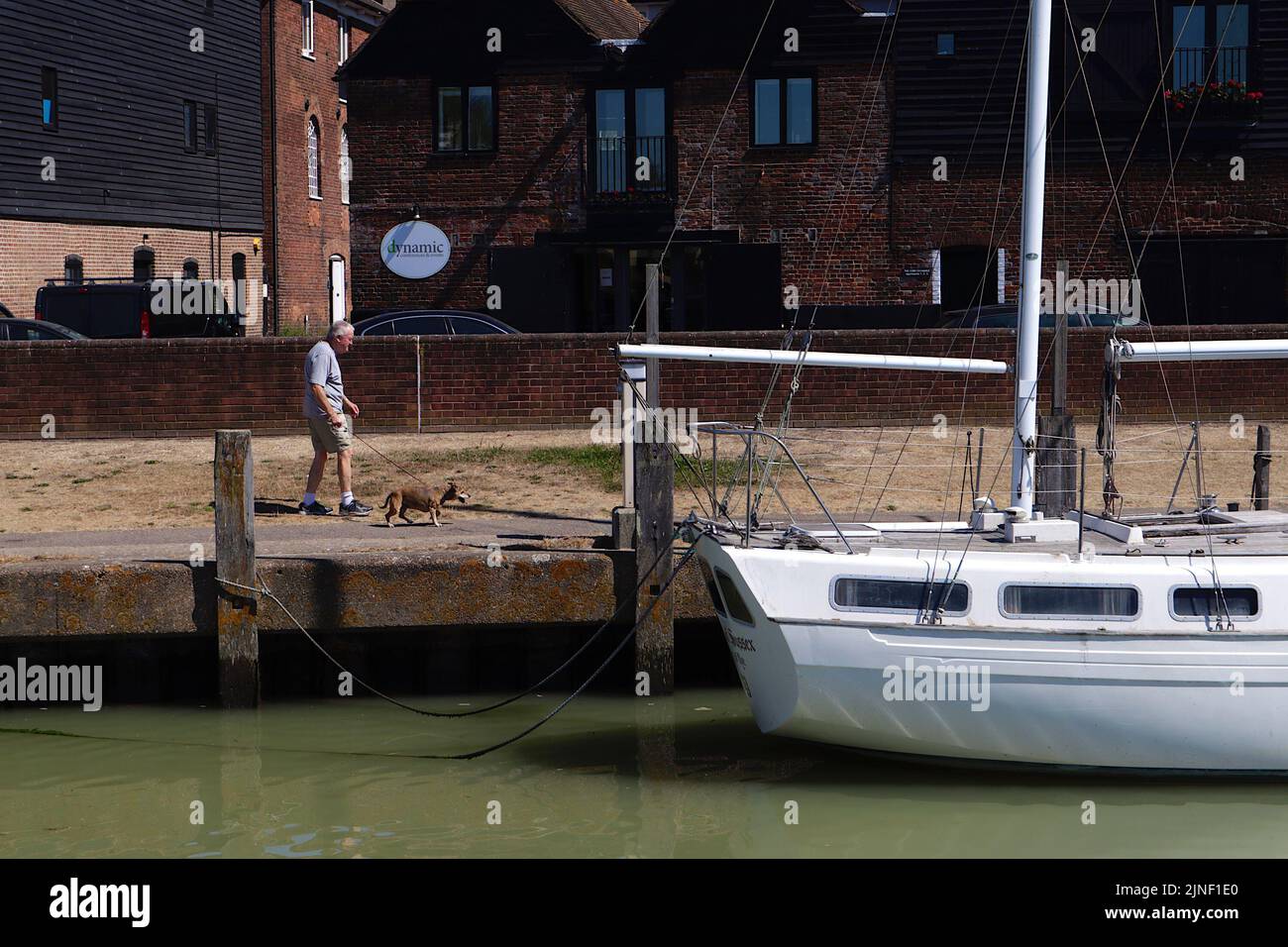 Rye, East Sussex, UK. 11 Aug, 2022. UK Weather: Visitors to the ancient town of Rye sit beside the river Brede on the Strand admiring the moored yachts. An elderly gentleman with his dog walking in the the very hot weather. Photo Credit: Paul Lawrenson /Alamy Live News Stock Photo