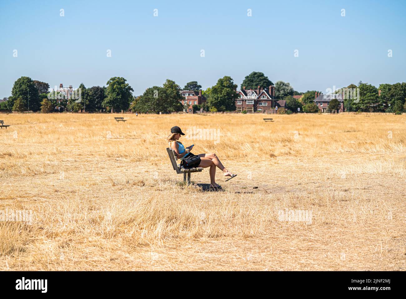 Wimbledon London, UK. 11 August 2022 . A woman sitting on a bench in the sunshine on a heat soaked and drought stricken  Wimbledon Common  as temperatures are forecast to soar  to 35celsius today and that London could soon be placed under a hosepipe ban after counties of Kent and Sussex formerly declared a ban from 12th Augustf Credit. amer ghazzal/Alamy Live News Stock Photo