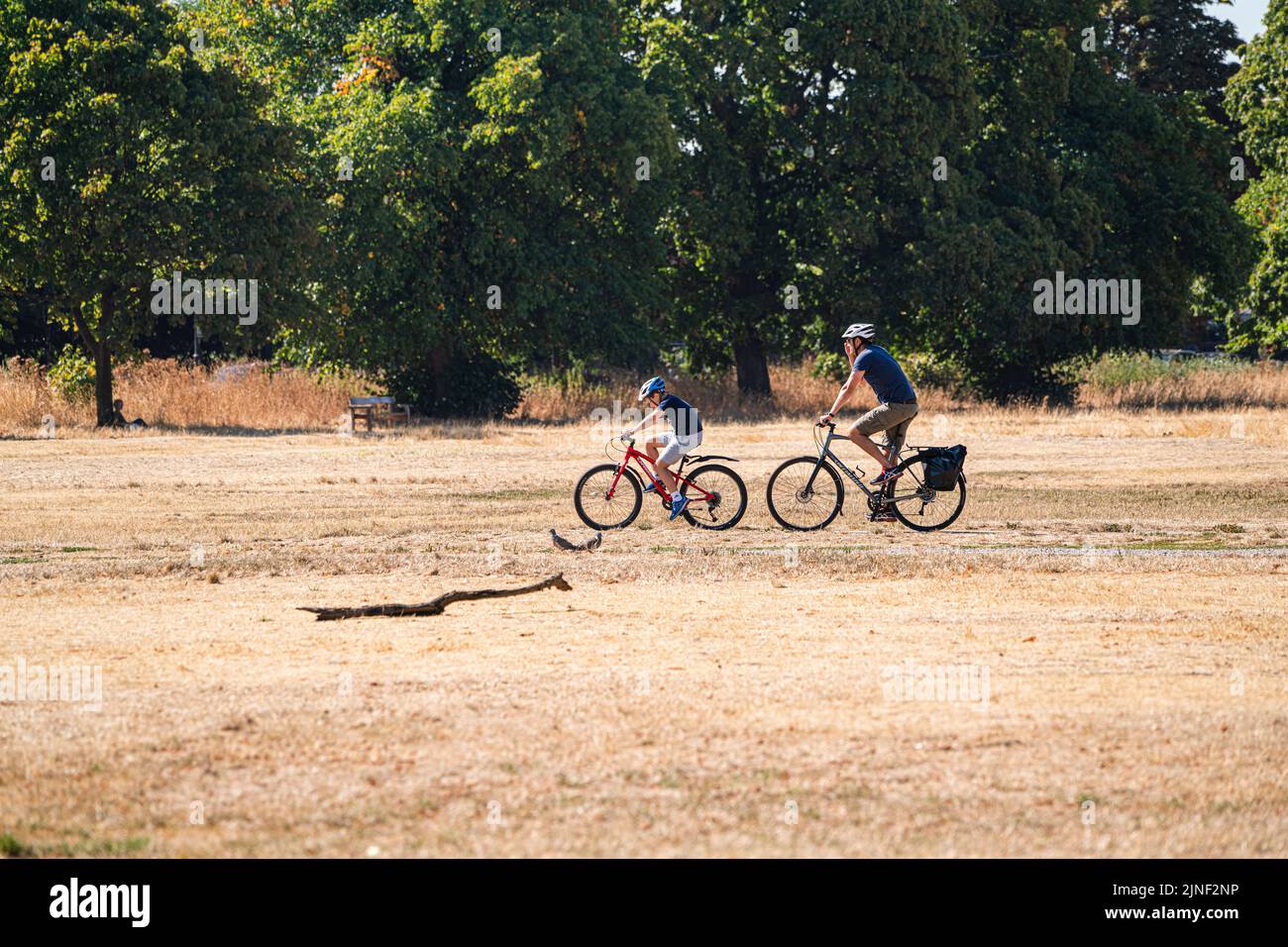 Wimbledon London, UK. 11 August 2022 . Cyclists  riding on a heat soaked and drought stricken  Wimbledon Common  as temperatures are forecast to soar  to 35celsius today and that London could soon be placed under a hosepipe ban after counties of Kent and Sussex formerly declared a ban from 12th Augustf Credit. amer ghazzal/Alamy Live News Stock Photo
