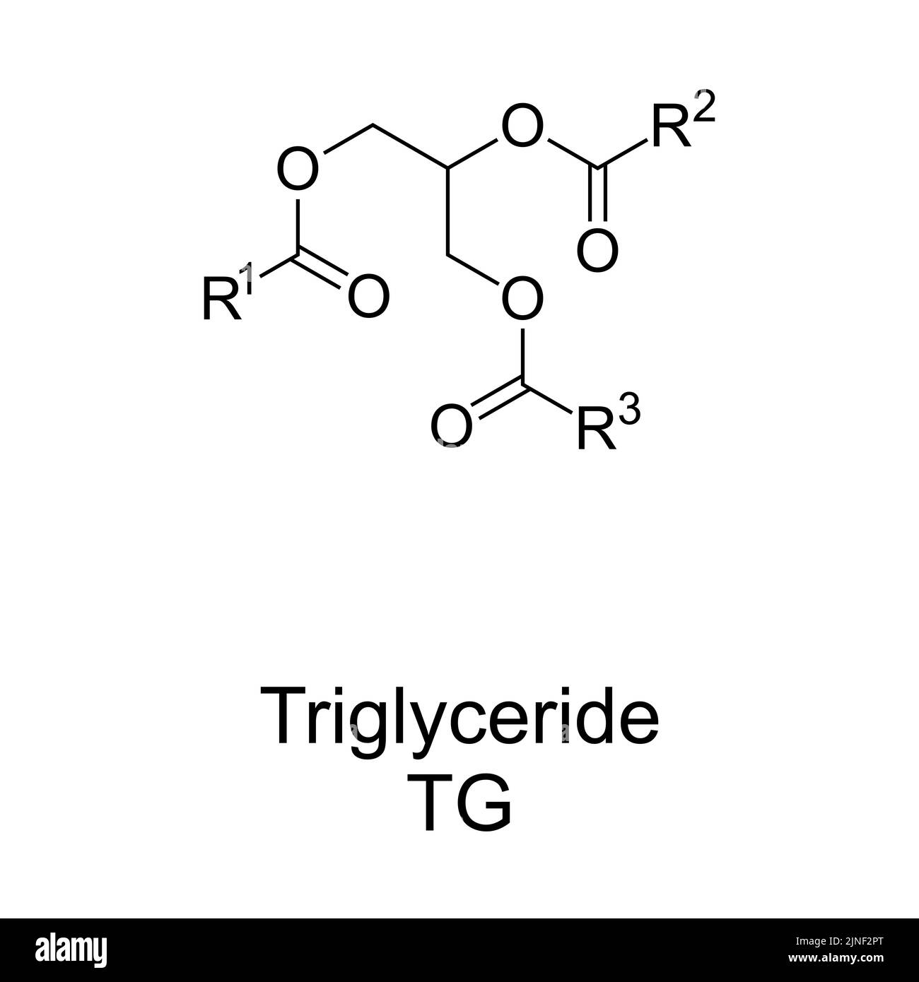 Triglyceride chemical structure. Triacylglycerol or triacylglyceride, ester derived from glycerol and 3 fatty acids. Main constituents of body fat. Stock Photo