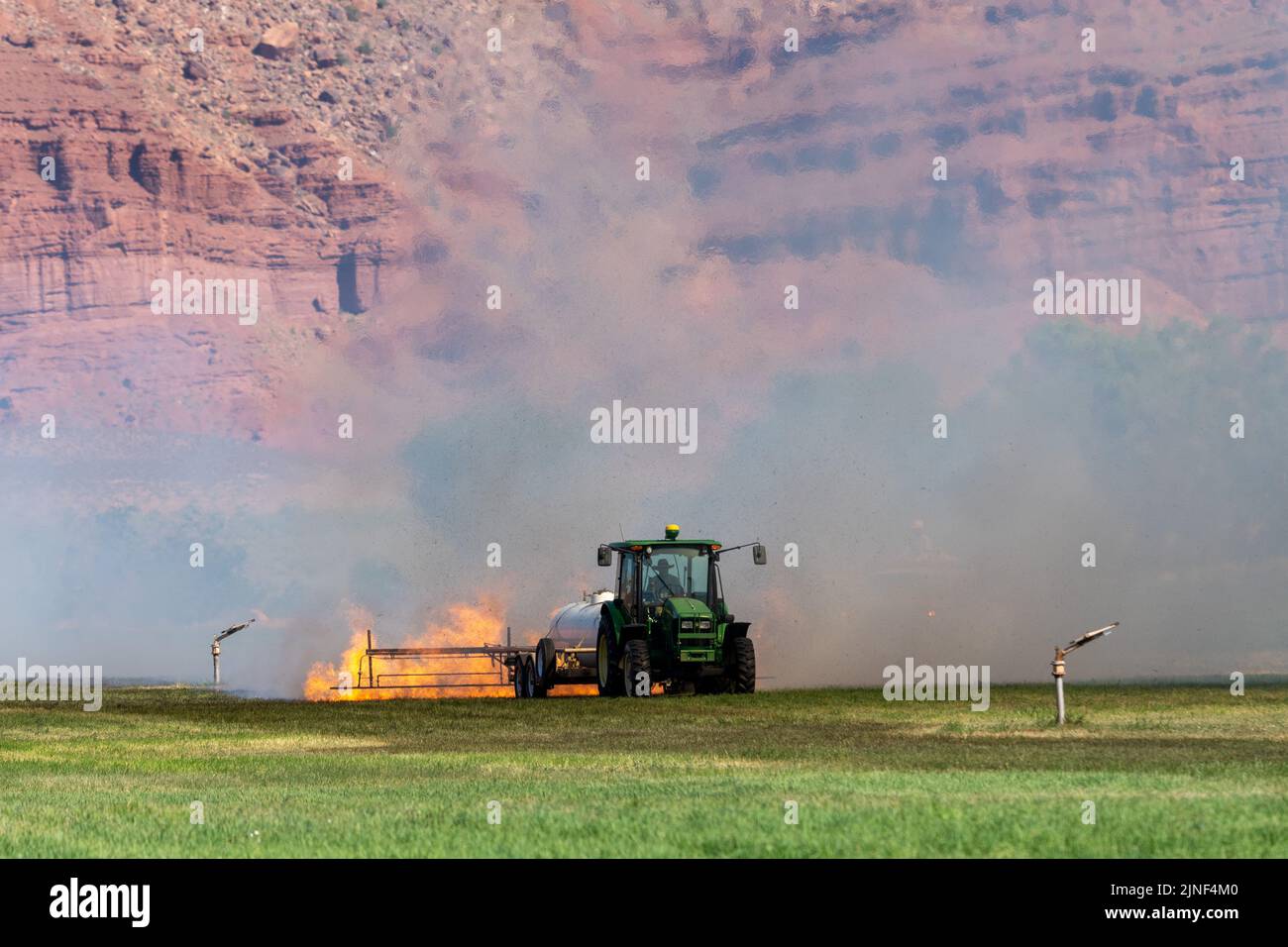 A tractor pulling a propane burner burns weeds in an hayfield after