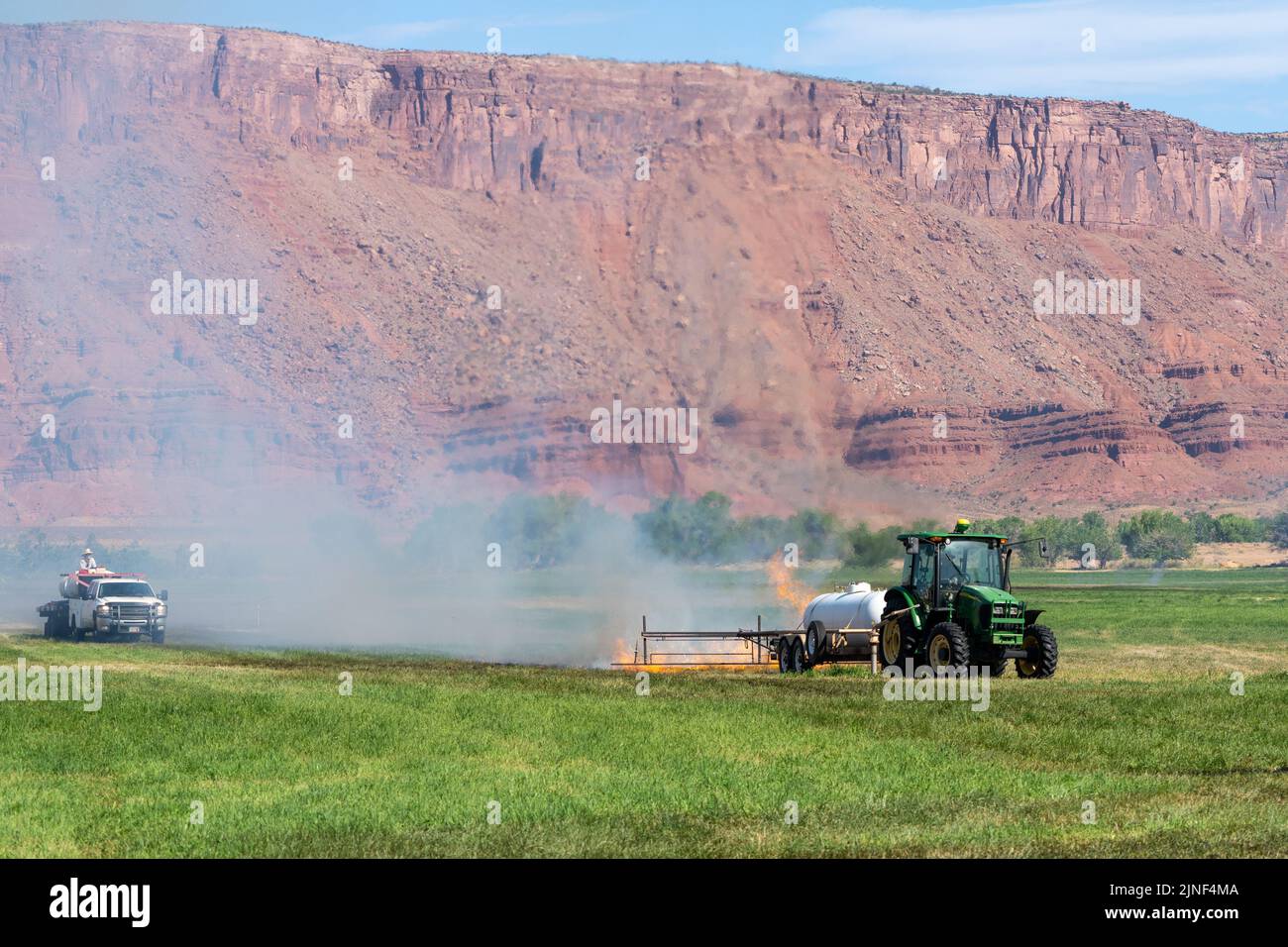 A tractor pulls a propane burner to burn weeds in an hay field after