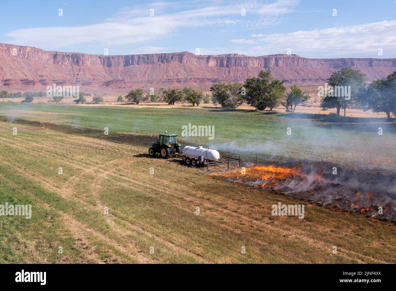 A tractor pulling a propane burner burns weeds in an hayfield after