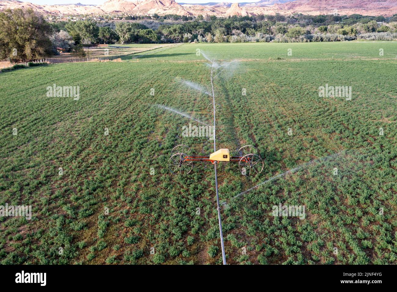 Aerial view of a wheel line or sideroll irrigation system watering a