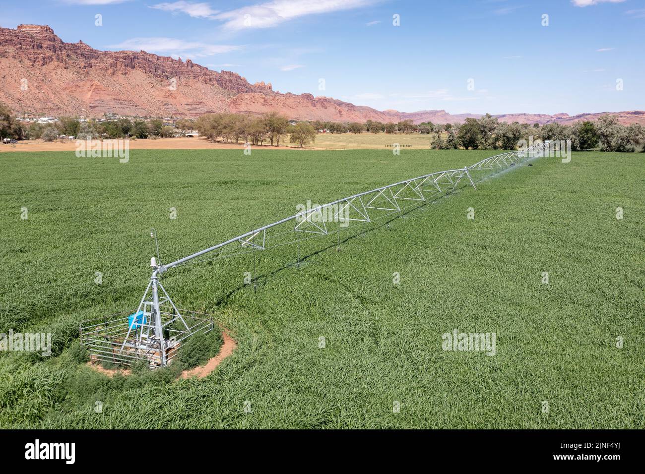 A center pivot irrigation system watering a field of in Spanish