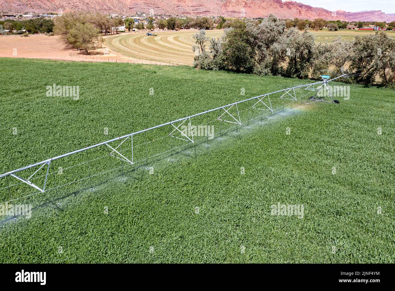 A center pivot irrigation system watering a field of in Spanish