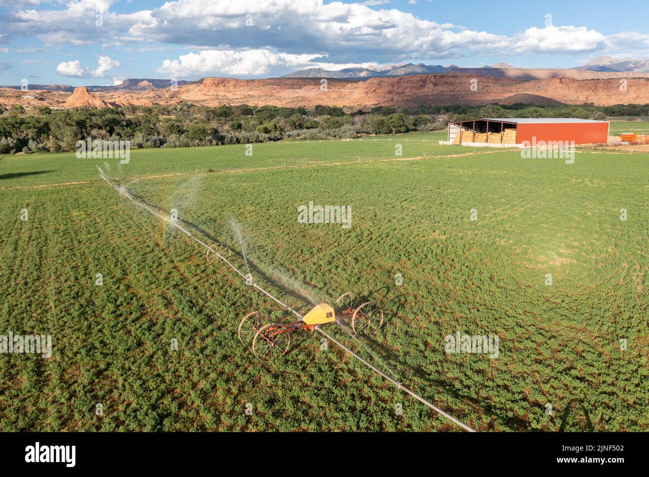 Aerial view of a wheel line or sideroll irrigation system watering a