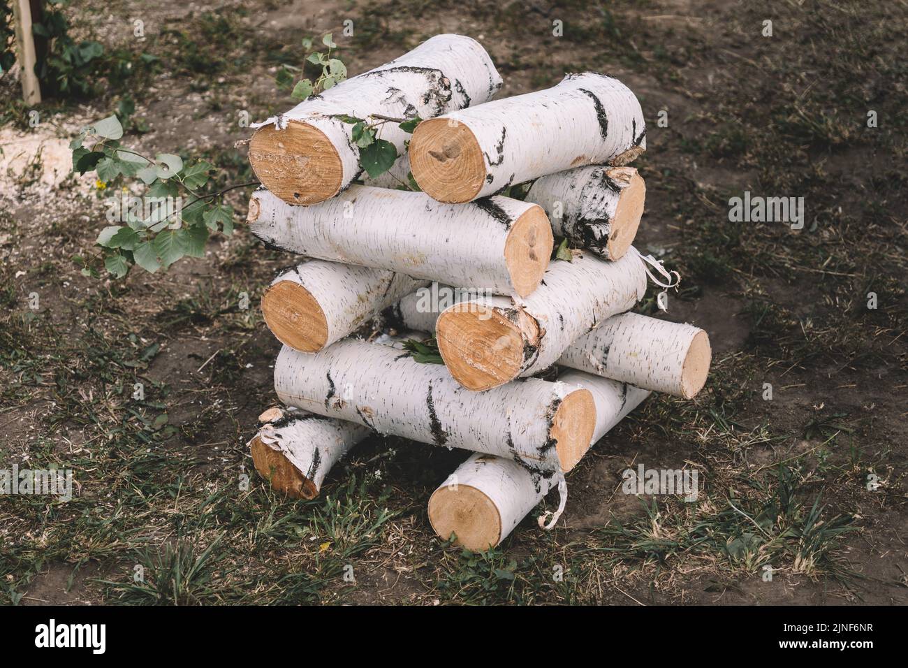 Thick birch logs close-up. Wood harvesting at the sawmill. A pile of birch wood is lying on the grass. Cutting firewood for heating the house. Stock Photo
