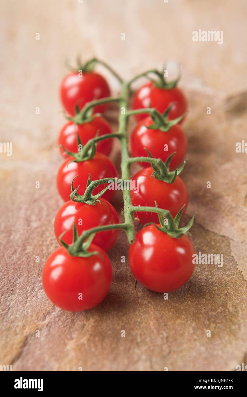 Cherry tomatoes on the vine - shallow dof Stock Photo