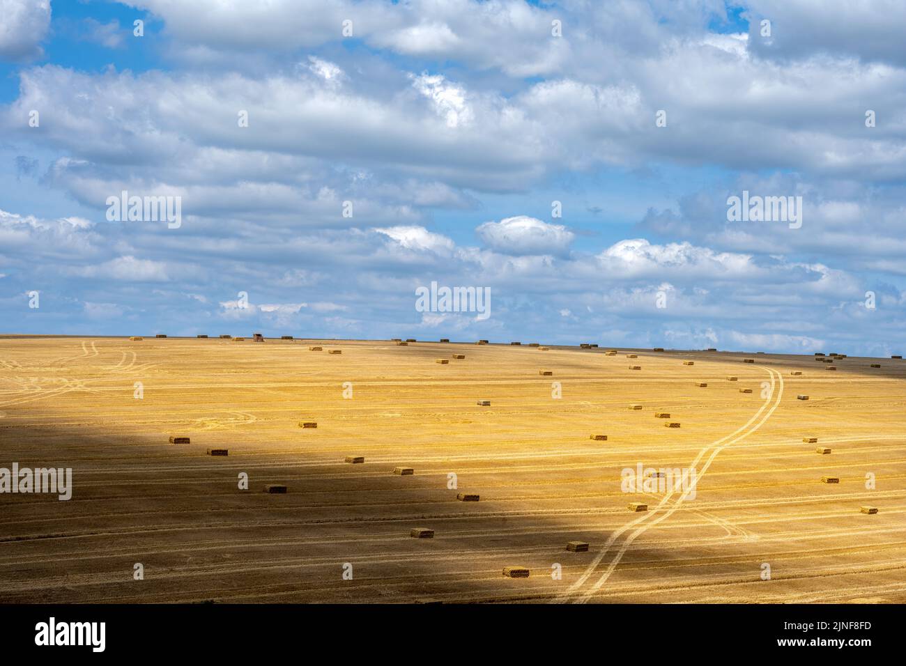 View of a cereal field with square straw bales in the South Downs