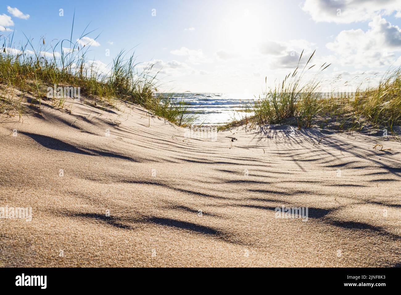 Sandy beach and dune with grass at the Baltic sea beach. Beautiful sea landscape Stock Photo