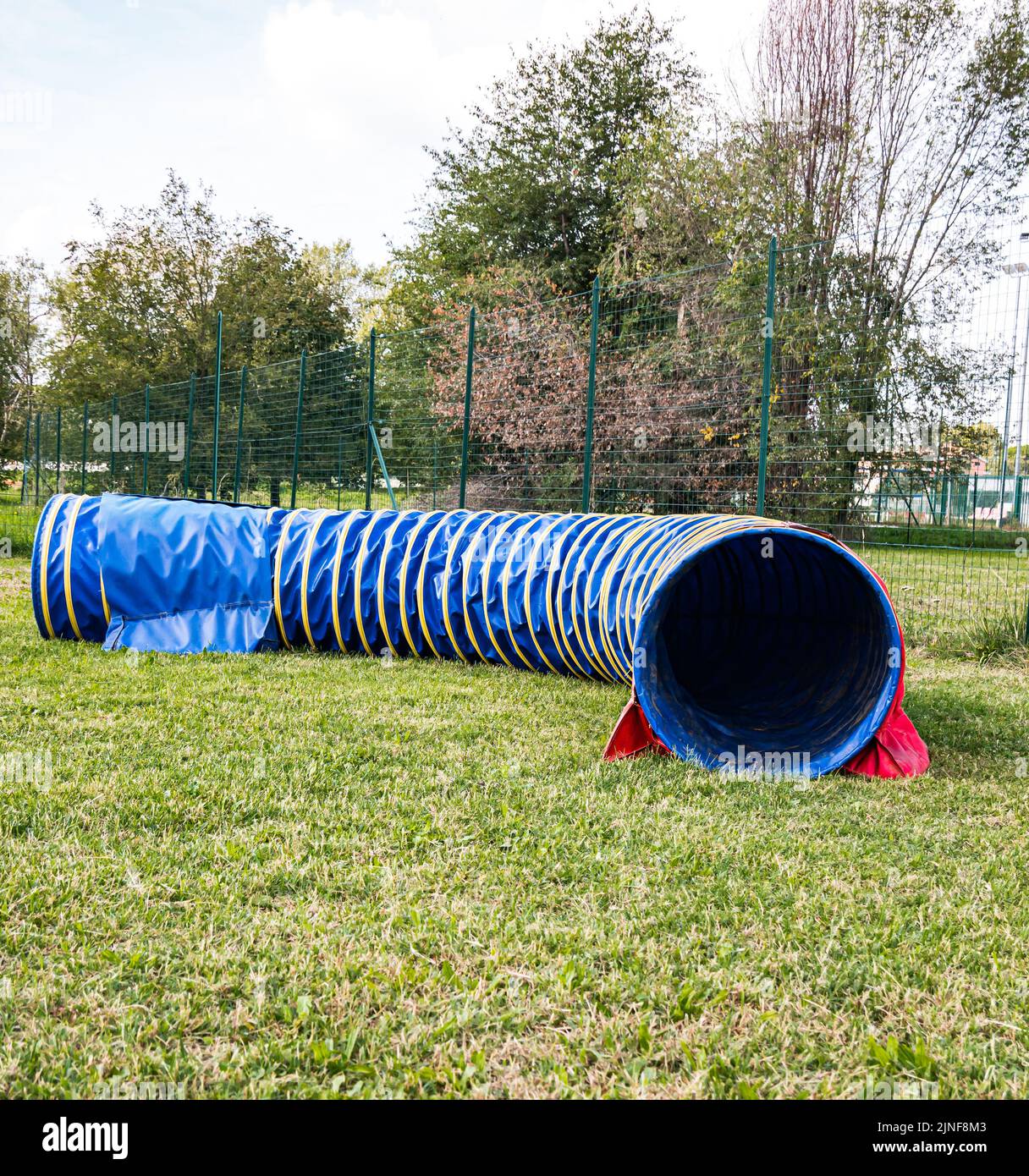 Area equipped for dog training. Dog training in a fenced area. Obstacle