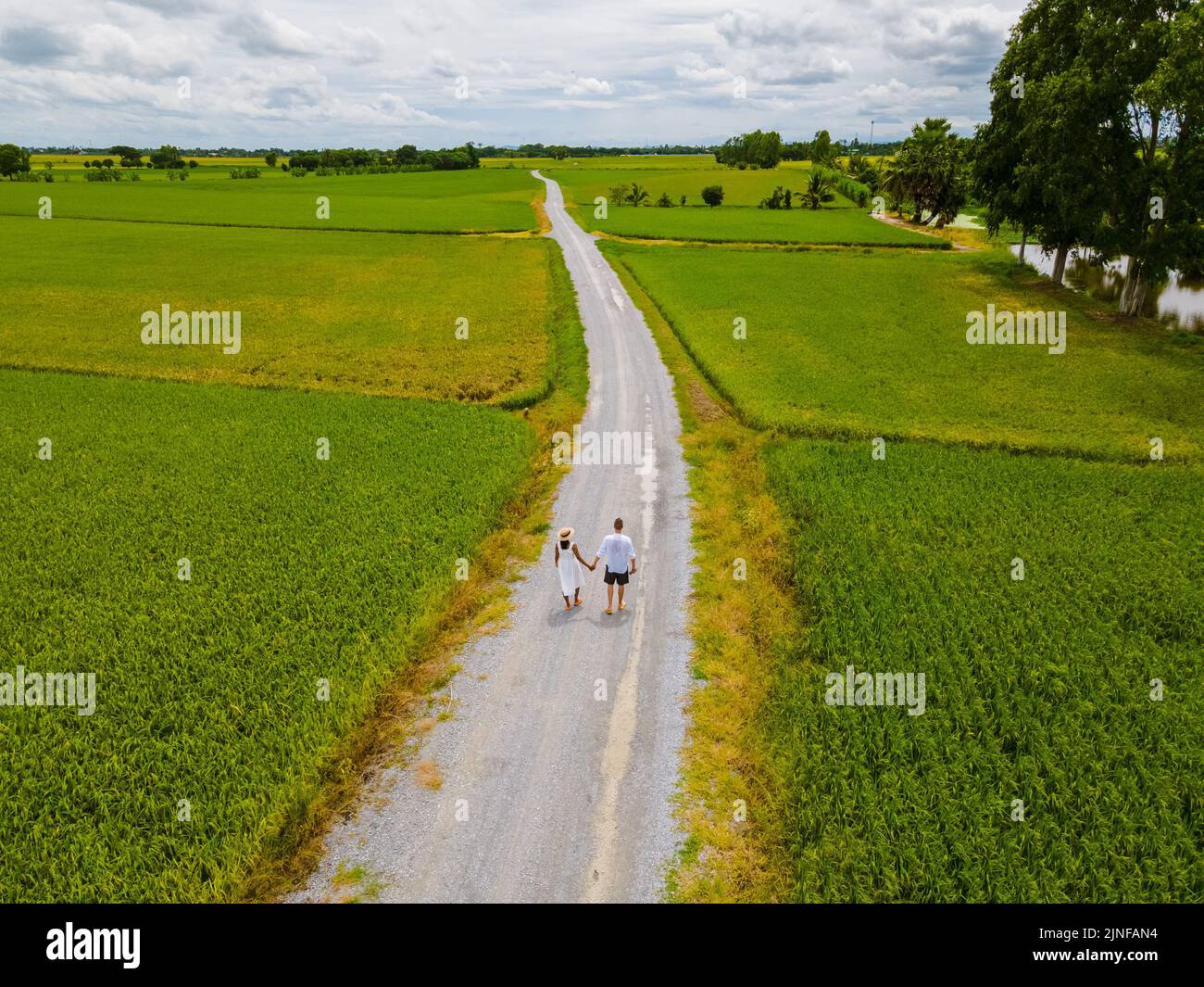 Drone aerial view of green paddy rice field in Thailand, men and woman
