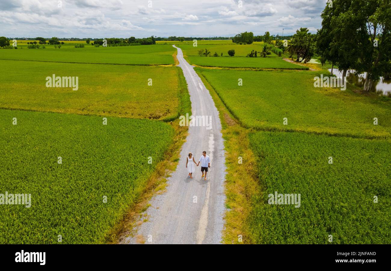 Drone aerial view of green paddy rice field in Thailand, men and woman ...