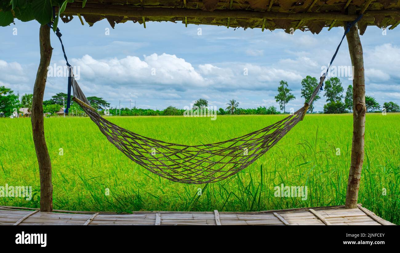 Hammock at an Eco farm homestay with a rice field in central Thailand