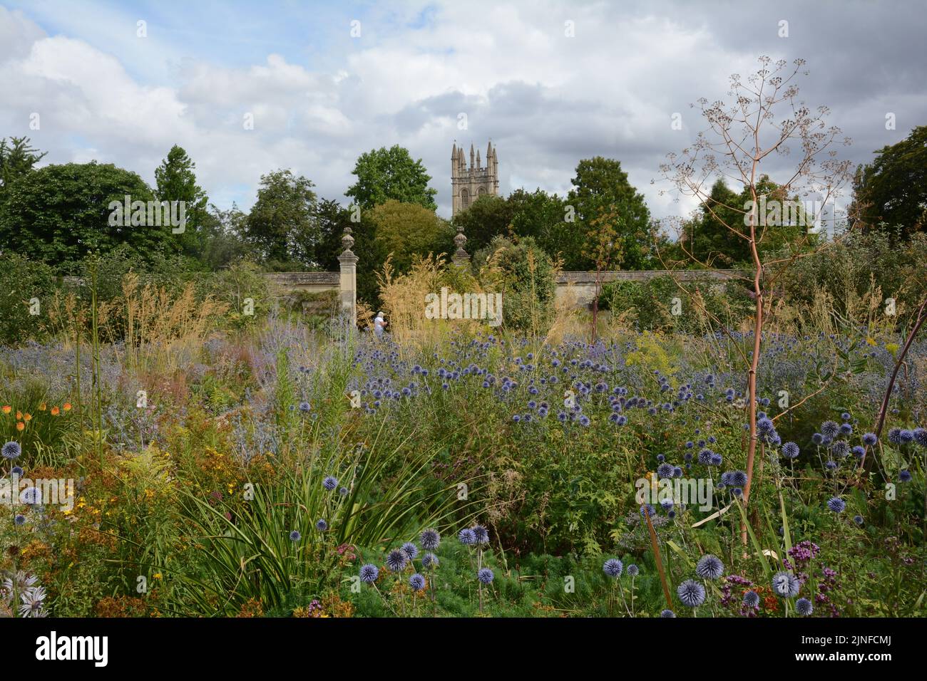 Oxford Botanic Garden Stock Photo